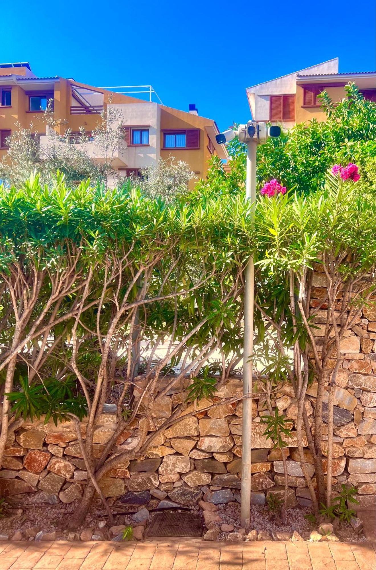 Appartement Torrevieja 200M From Sea Punta Prima à Alicante Extérieur photo